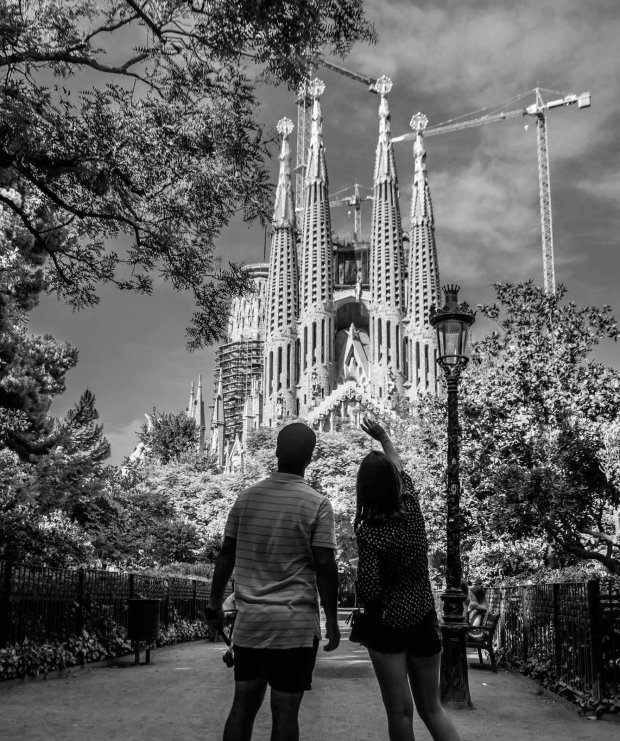 In order to maintain healthy levels of vitamin e, you need to ingest it through food or consume it as an oral supplement. Photo Bike Tour Barcelona Electric Bike Tours Barcelona